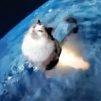 ?