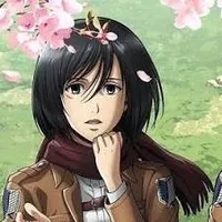 Mikasa ackeman