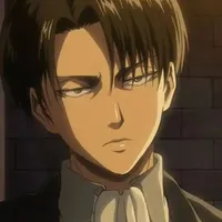 Levi