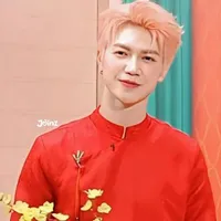 nguyễn thái sơn