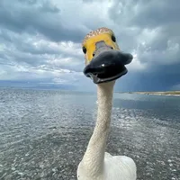 Laala và Nao