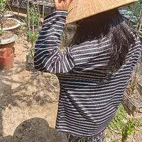 yn ( trong truyện)
