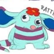 rattie(bé tí)