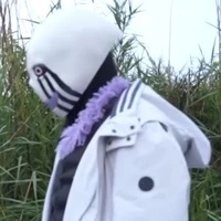 Error sans 505