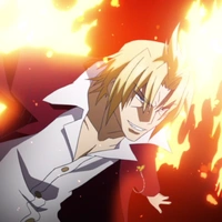 riser pheonix