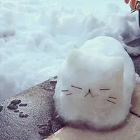 ？？？