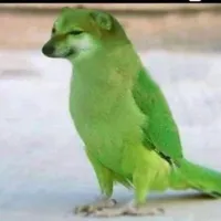 ParrotX2