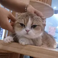 ✧_Cả-Lớp_✧