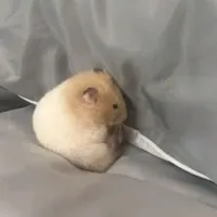 Na đâyy