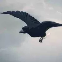 Quạ