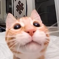 Tác giả 
