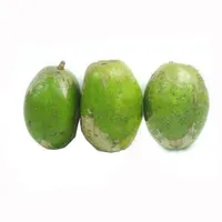 tg bị đin