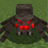 spider
