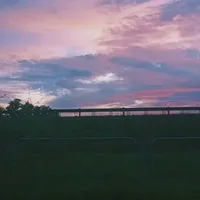 t/g