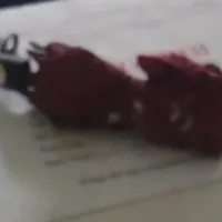 chó báo hại>:)
