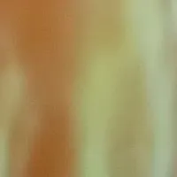 itrapper