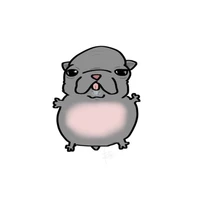 zun