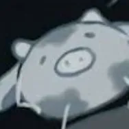donmc