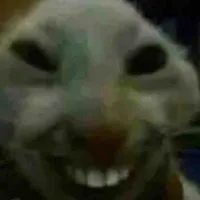 Con N