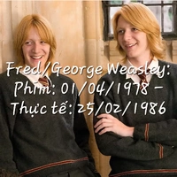 Fred/ george weasley