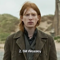 bill weasley