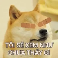 Doge bn củe t/g