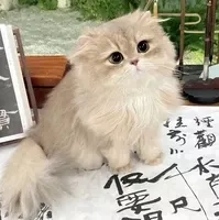 Tác giả Darling