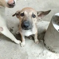 Bà Tám hay đu DuongHung ( Tác giả ) 