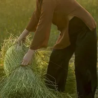 Người Ở