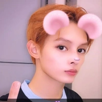 James (mèo)