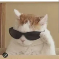 catpi( t/g)