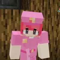 hiha police