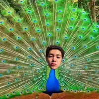 Ahn Geonho(Keonho)