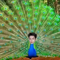 Chao Yufan(James)