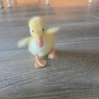 @𝐭𝐡𝐢𝐜𝐡𝐚𝐧𝐜𝐡𝐚𝐧𝐠𝐚
