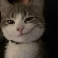 @𝐭𝐨𝐧𝐠𝐭𝐚𝐢𝐧𝐠𝐚𝐮𝐥𝐨𝐢
