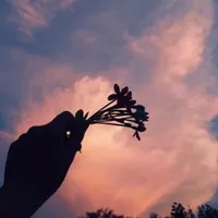 all(trừ theo tùy tình huống)