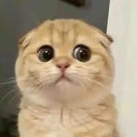 tgia