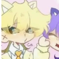 hiha anticatnap