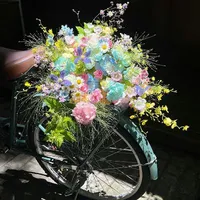 All ( trừ ai thì trừ)
