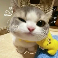 Hệ thống-Daisy