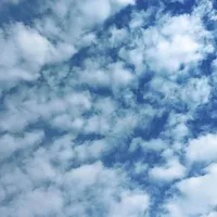 all 
