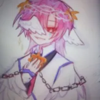hiha judex