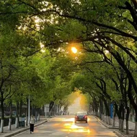 Bác tài
