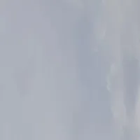 ？？？