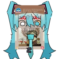 VĂN MIKU.