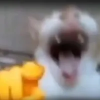 Kami