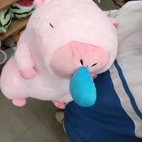 Zi Zi