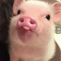 tác giả 