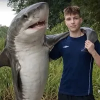 ???